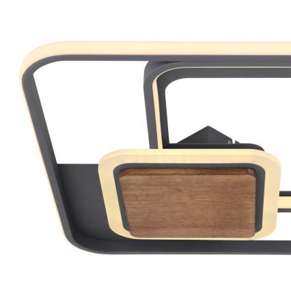 Globo - LED Plafon LED/48W/230V