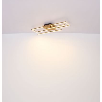 Globo - LED Plafon LED/18W/230V