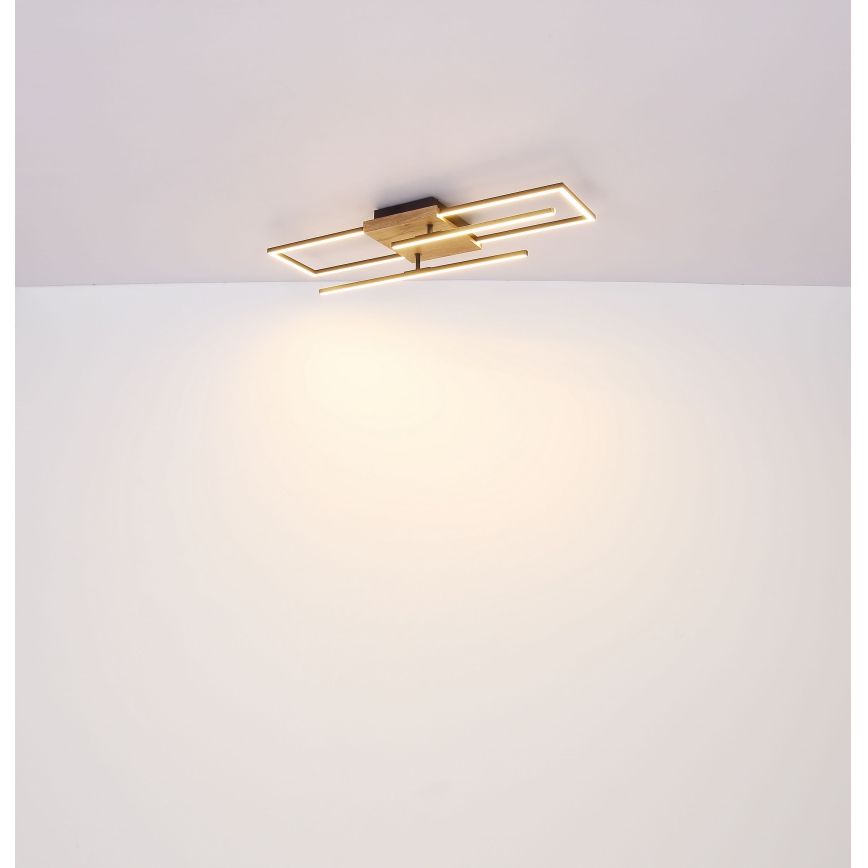 Globo - LED Plafon LED/18W/230V