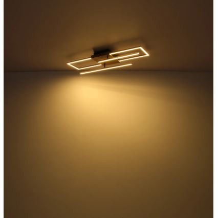 Globo - Lampa sufitowa LED/24W/230V 3000K 20x80 cm