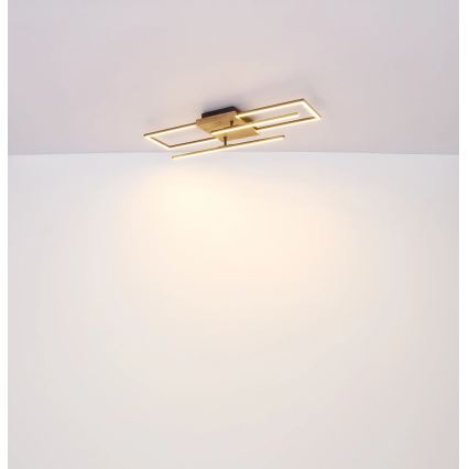 Globo - Lampa sufitowa LED/24W/230V 3000K 20x80 cm