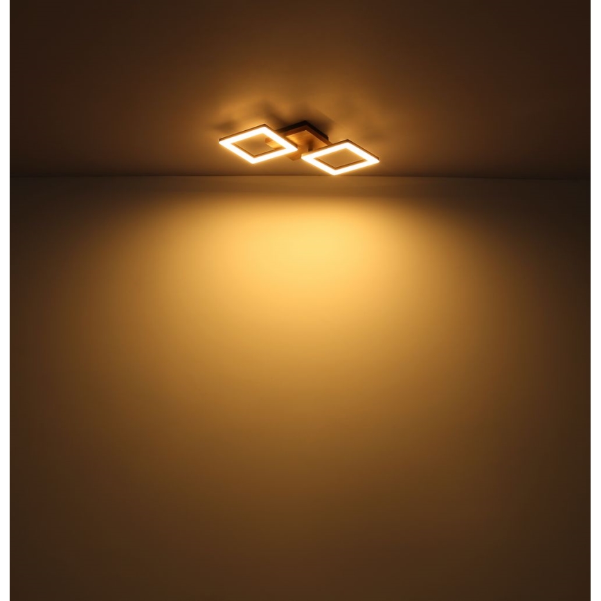 Globo - LED Żyrandol natynkowy LED/30W/230V