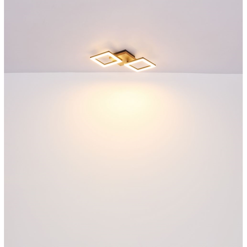 Globo - LED Żyrandol natynkowy LED/30W/230V