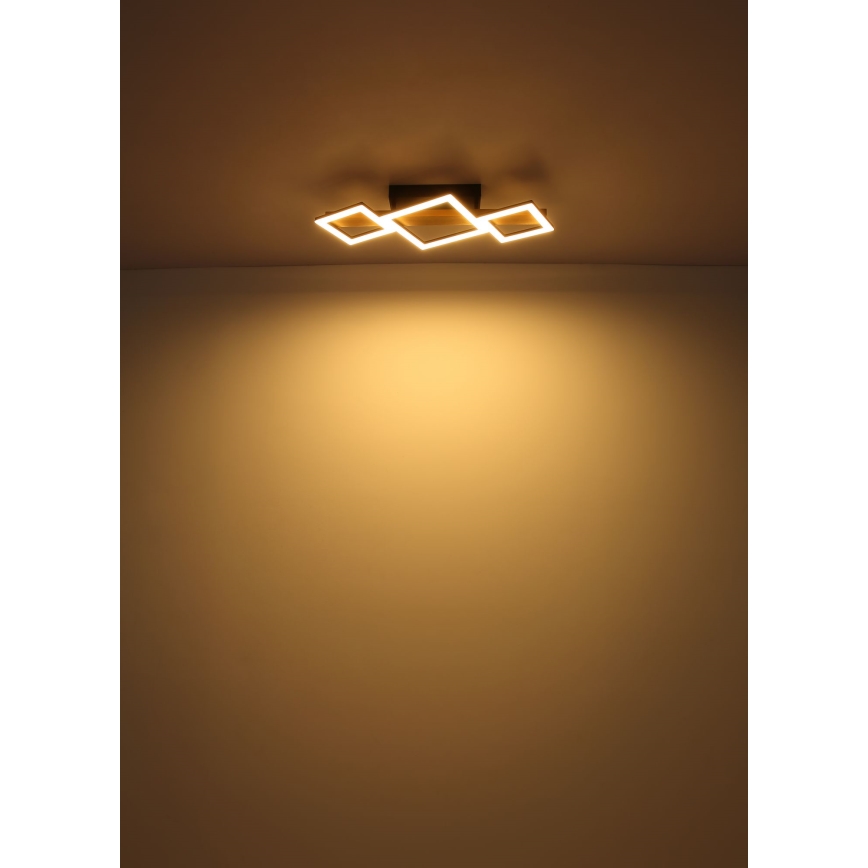Globo - LED Plafon LED/29W/230V