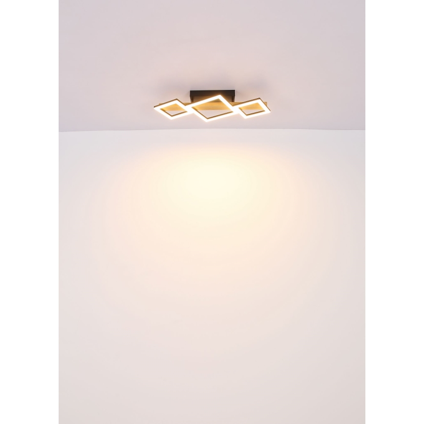 Globo - LED Plafon LED/29W/230V