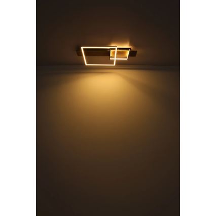 Globo 67289D1 - Plafon sufitowy LED VANNI LED/24W/230V 40x75 cm brązowy/czarny