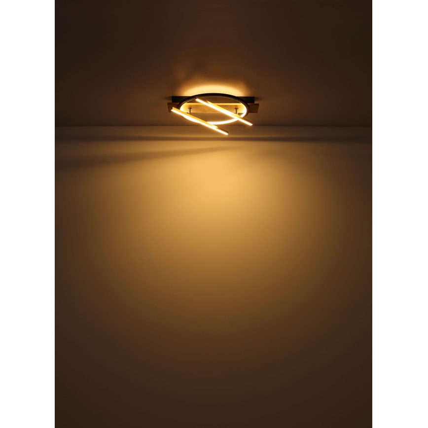 Globo - LED Plafon LED/32W/230V