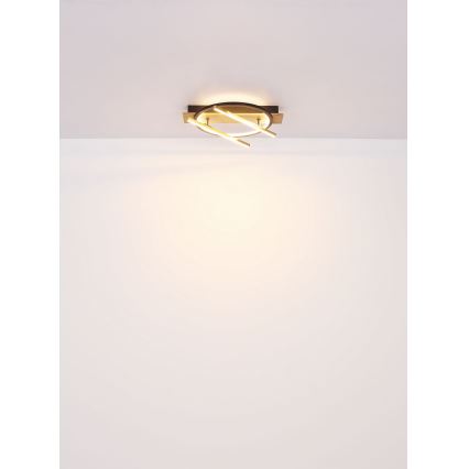 Globo - LED Plafon LED/32W/230V