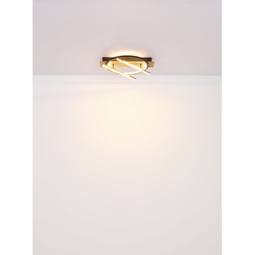 Globo - LED Plafon LED/32W/230V