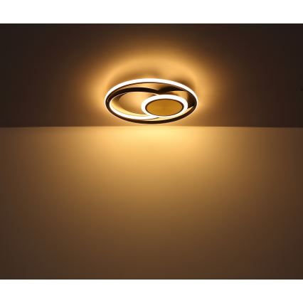 Globo - LED Plafon LED/24W/230V