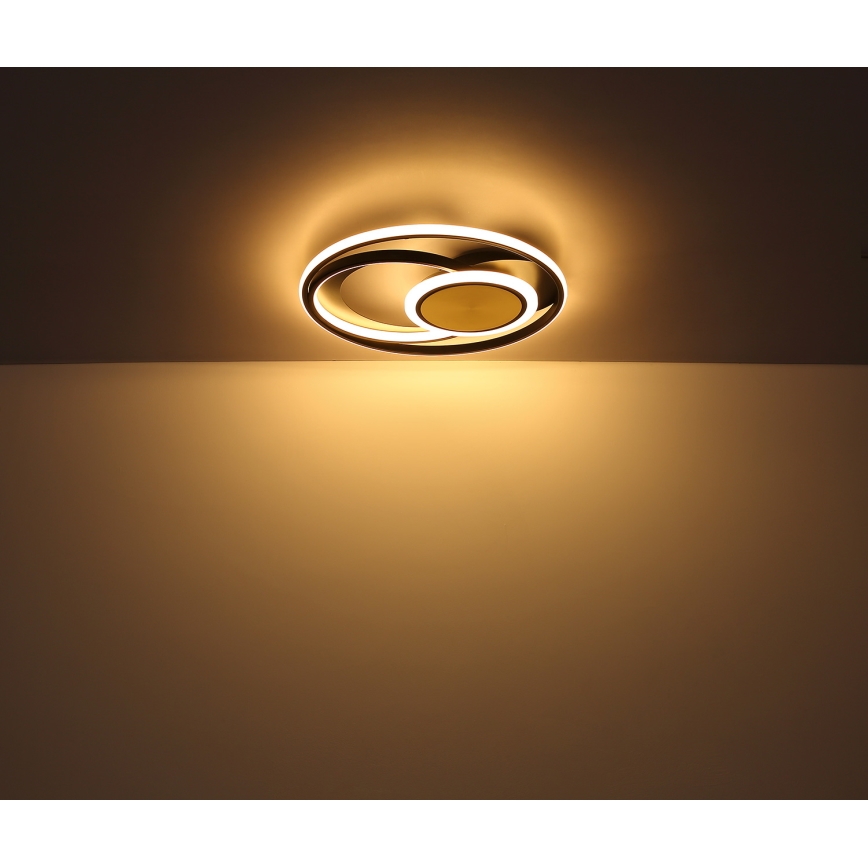 Globo - LED Plafon LED/24W/230V