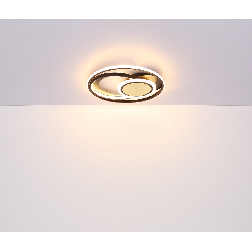 Globo - LED Plafon LED/24W/230V