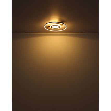 Globo - LED Plafon LED/24W/230V