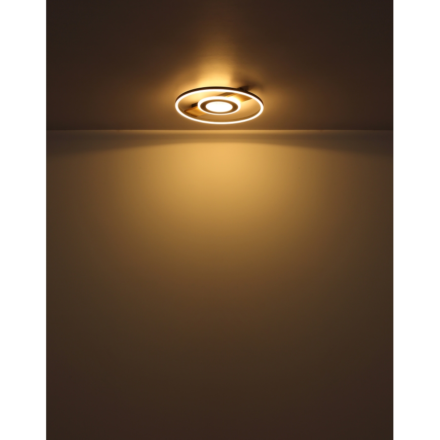 Globo - LED Plafon LED/24W/230V
