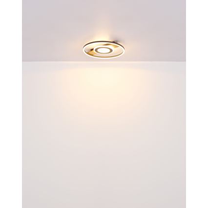 Globo - LED Plafon LED/24W/230V