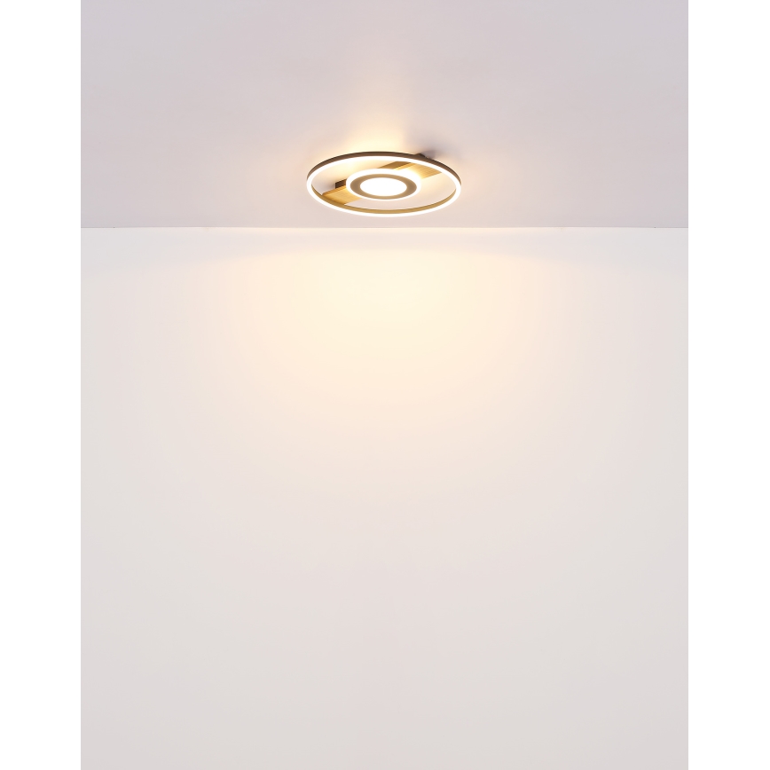 Globo - LED Plafon LED/24W/230V