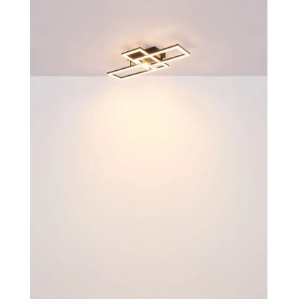 Globo - LED Plafon LED/24W/230V