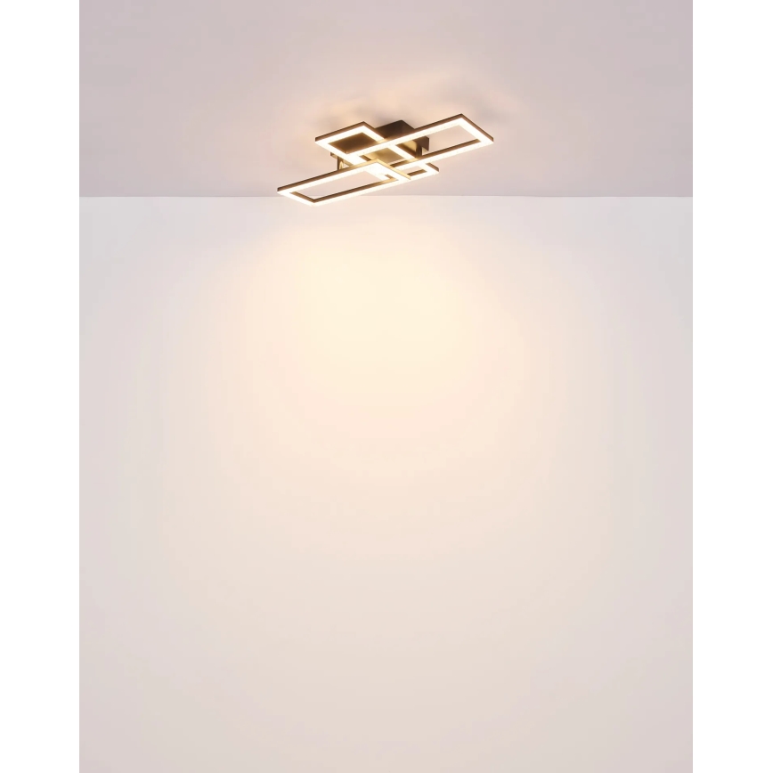 Globo - LED Plafon LED/24W/230V