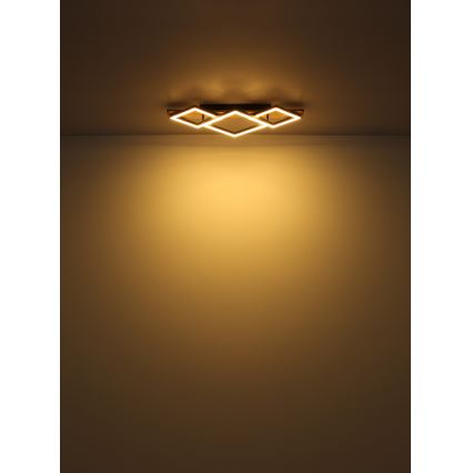 Globo - LED Plafon LED/24W/230V