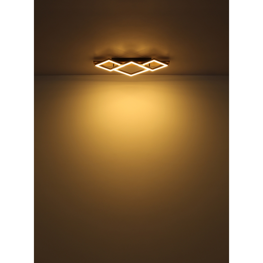 Globo - LED Plafon LED/24W/230V