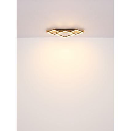 Globo - LED Plafon LED/24W/230V
