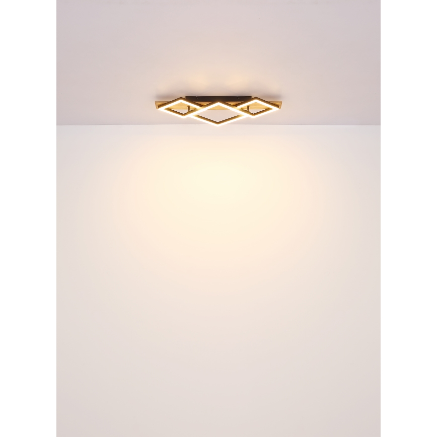 Globo - LED Plafon LED/24W/230V