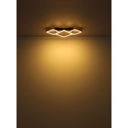 Globo - LED Plafon LED/24W/230V
