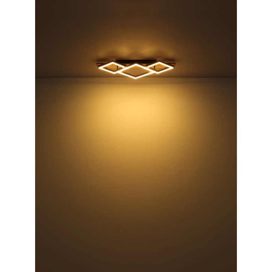 Globo - LED Plafon LED/24W/230V