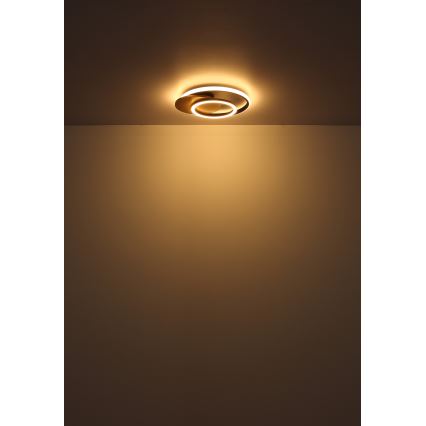 Globo - LED Plafon LED/24W/230V czarny