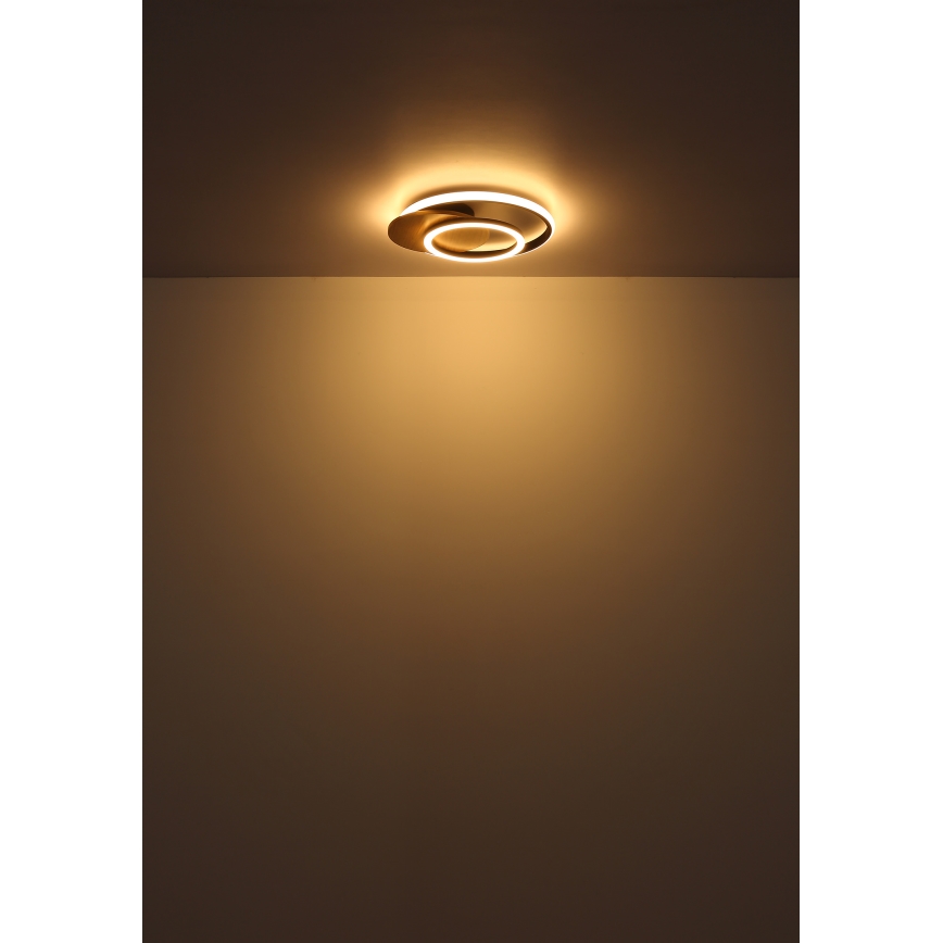 Globo - LED Plafon LED/24W/230V czarny