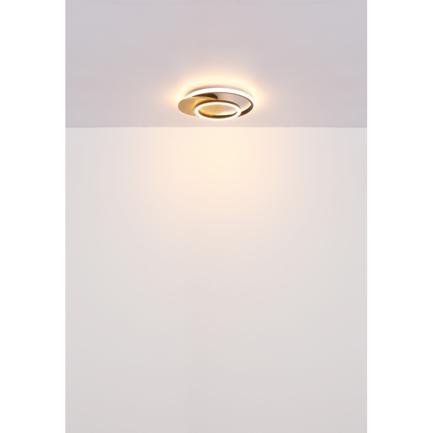 Globo - LED Plafon LED/24W/230V czarny