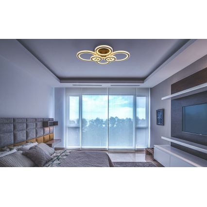 Globo - LED Plafon ściemnialny LED/60W/230V 2700-6000K 56x78 cm antracyt + pilot zdalnego sterowania