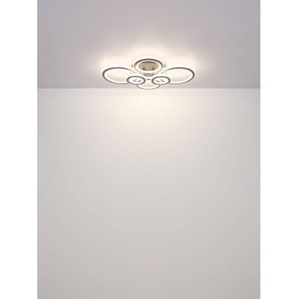 Globo - LED Plafon ściemnialny LED/60W/230V 2700-6000K 56x78 cm antracyt + pilot zdalnego sterowania