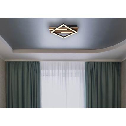 Globo - LED Lampa sufitowa LED/19W/230V 3000K 31x33 cm