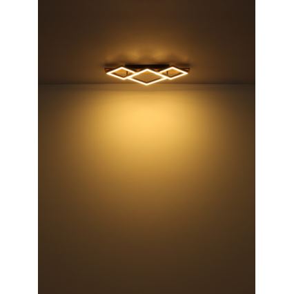 Globo - LED lampa sufitowa LED/24W/230V + LED/8W 3000K 31x61cm
