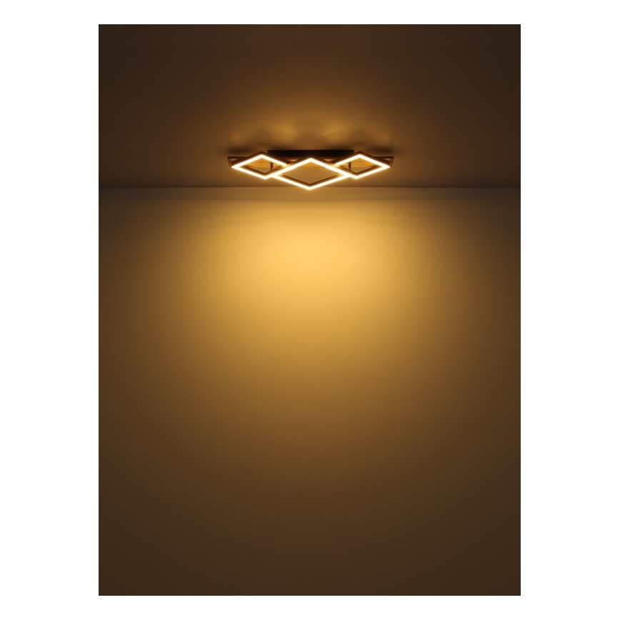 Globo - LED lampa sufitowa LED/24W/230V + LED/8W 3000K 31x61cm