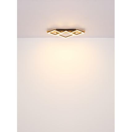 Globo - LED lampa sufitowa LED/24W/230V + LED/8W 3000K 31x61cm