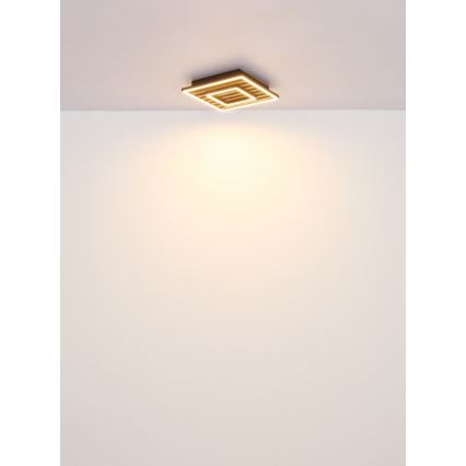 Globo - LED Plafon LED/18W/230V 3000K 30x30 cm
