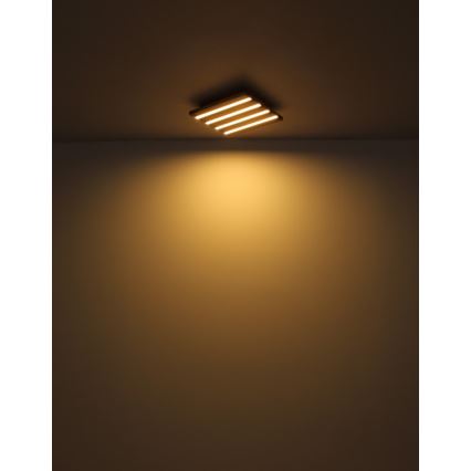 Globo - Oprawa sufitowa LED/15W/230V 3000K 30x30 cm