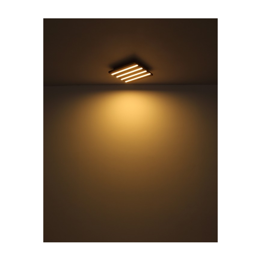 Globo - Oprawa sufitowa LED/15W/230V 3000K 30x30 cm