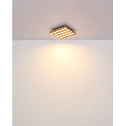 Globo - Oprawa sufitowa LED/15W/230V 3000K 30x30 cm