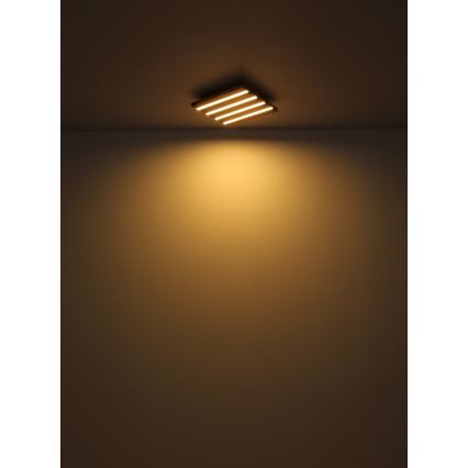 Globo - LED Plafon LED/30W/230V 3000K 45x45 cm drewno
