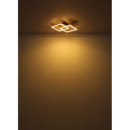 Globo - Oprawa sufitowa LED/16W/230V 3000K 33x44 cm
