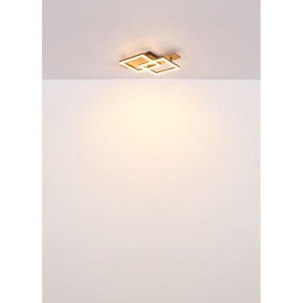 Globo - Oprawa sufitowa LED/16W/230V 3000K 33x44 cm