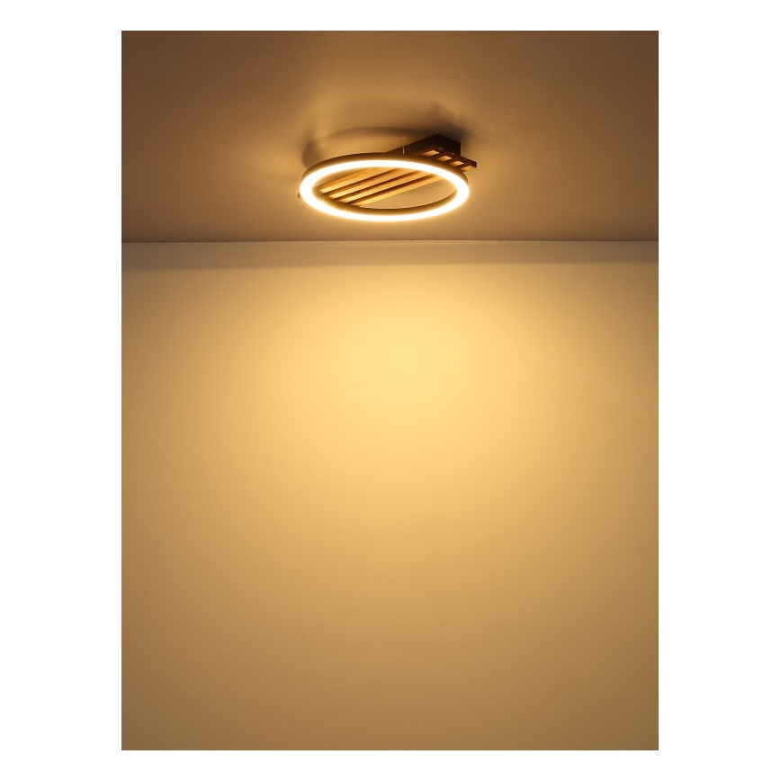 Globo - LED Plafon LED/12W/230V 3000K 30x34 cm