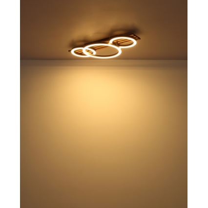 Globo - LED Plafon LED/24W/230V 3000K 30x62 cm