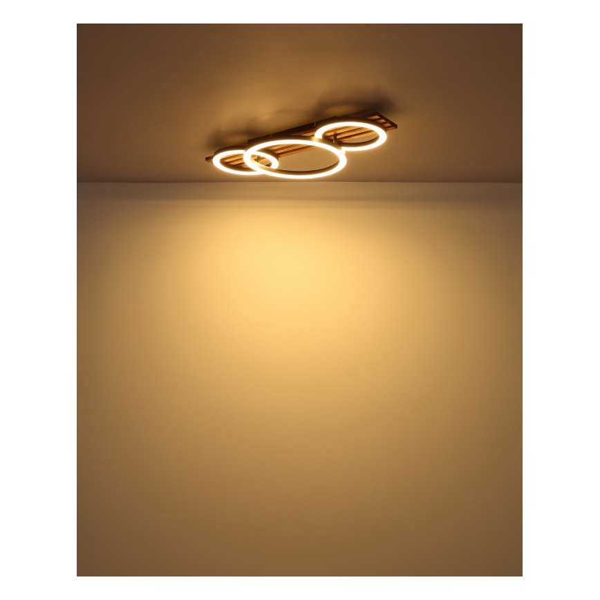 Globo - LED Plafon LED/24W/230V 3000K 30x62 cm