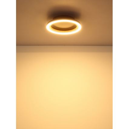 Globo - Lampa sufitowa LED/12W/230V 3000K śr. 20,5 cm