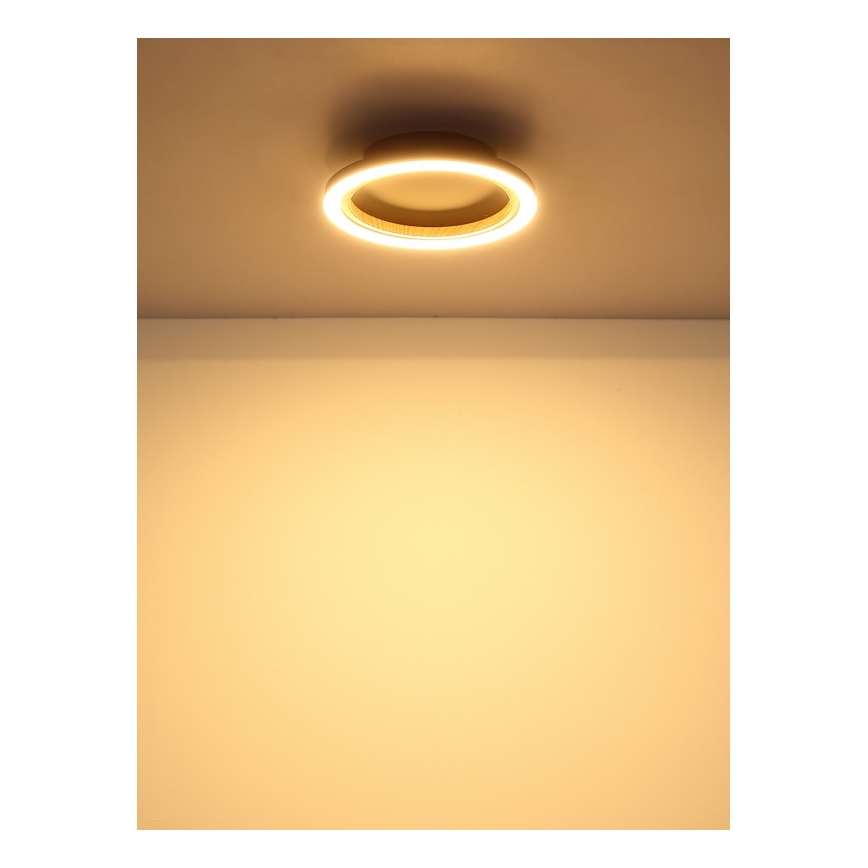 Globo - Lampa sufitowa LED/12W/230V 3000K śr. 20,5 cm