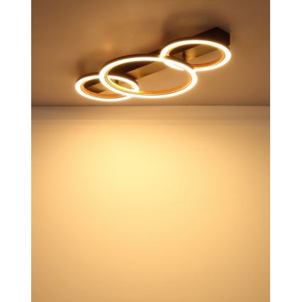 Globo - Lampa sufitowa LED/40W/230V 3000K 58x30 cm